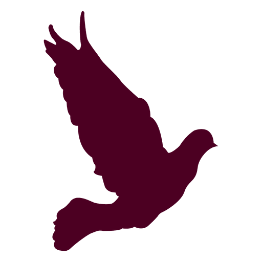 Dove Flying Sequence