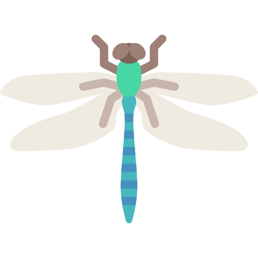 Dragonfly Icon
