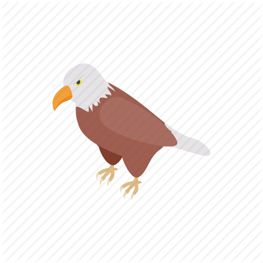Animal, Bird, Eagle, Hawk, Isometric, Mascot, Wing Icon