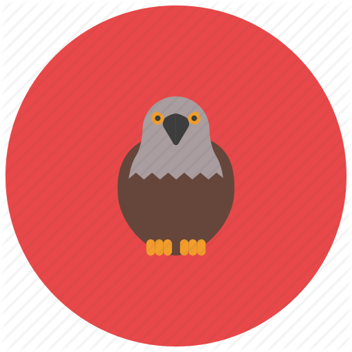 Animals, Bird, Eagle, Hunt Icon