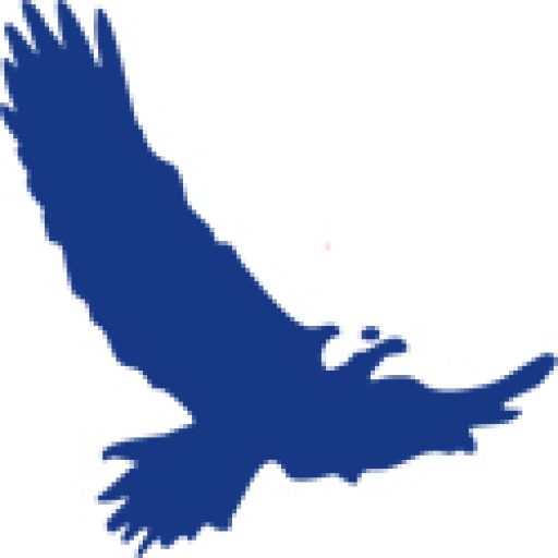 Cropped Map Icon Eagle