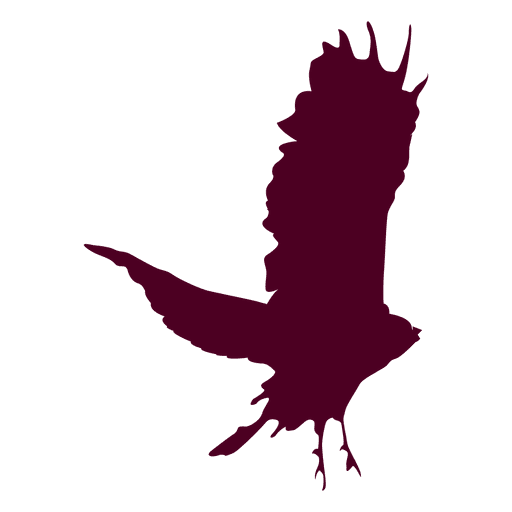 Eagle Flying Sequence