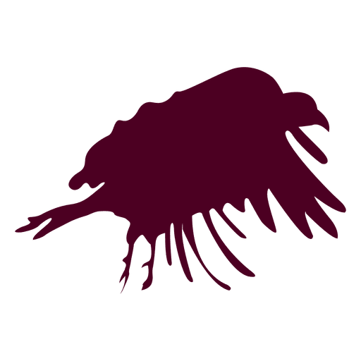 Eagle Flying Sequence