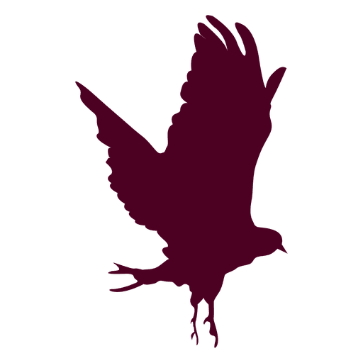 Eagle Flying Sequence