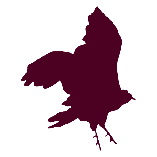 Eagle Flying Sequence