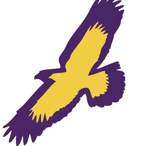 Elmira College Soaring Eagles Logos