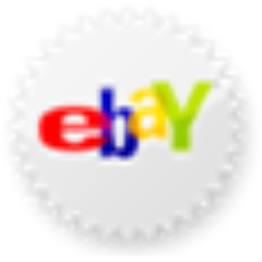 Ebay Icon