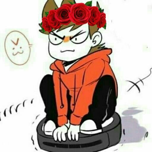 Tord Acts Like A Cat, And Matt Installs A Robot Cleaner And Tord