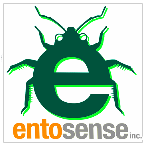 Entosense, Inc Entomophagy For A Healthy Future