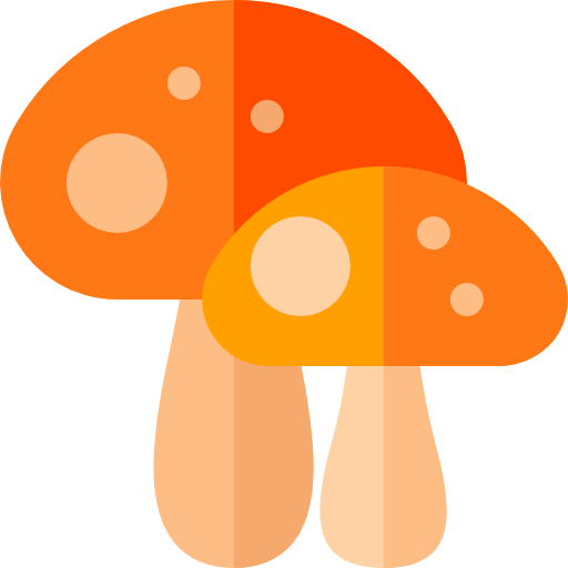 Mushroom
