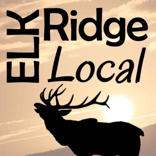 Cropped Site Icon Elk Ridge Local