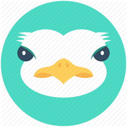 Bird, Common Ostrich, Emu, Ostrich, Zoo Icon
