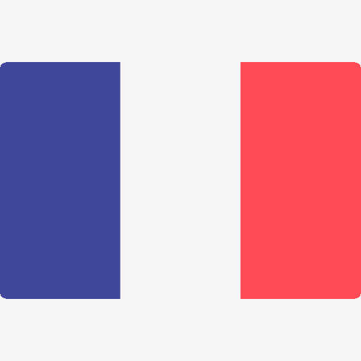 French Flag Icon
