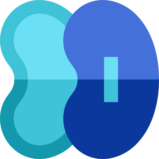 Kidneys Icons Free Download