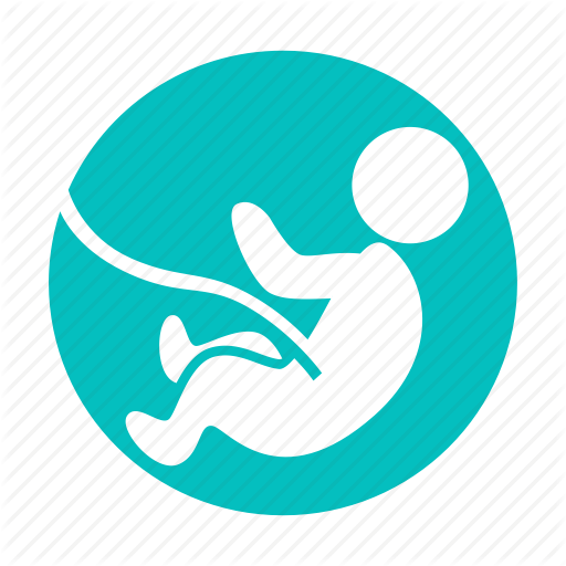 Baby, Embryo, Fetus, Newborn, Pregnancy Icon