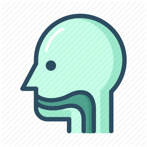 Anatomy, Ent, Esophagus, Nasopharynx, Organ, Patient, Throat Icon