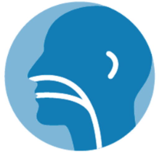 Ear, Nose And Throat