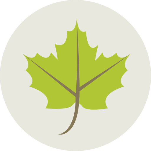 Plant, Leaf, Nature, Garden, Maple Leaf, Botanical, Ecology