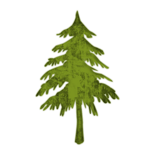 Evergreen Or Fir Tree