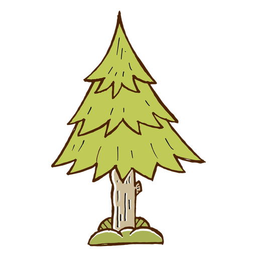 Pinetree Vector Camping Tree Transparent Png Clipart Free