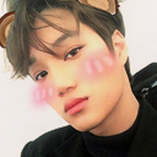 Nini Bear Exo Exo