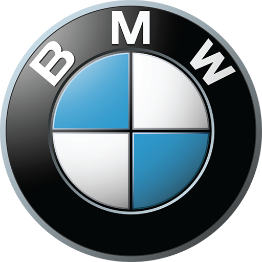 Cropped Bmw Icon