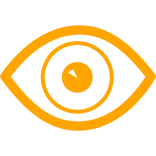 Orange Eye Icon