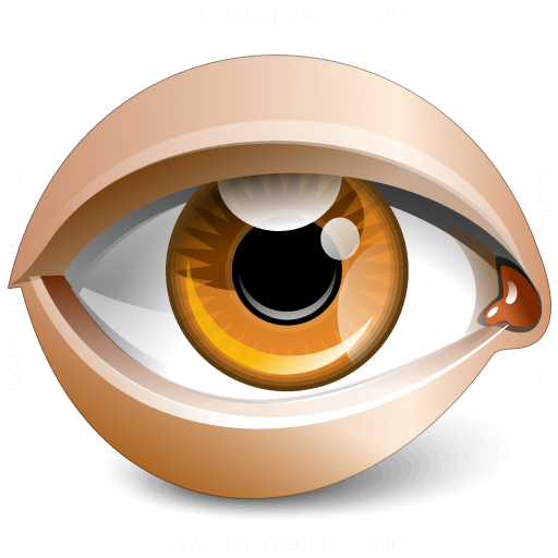 Iconexperience V Collection Eye Icon