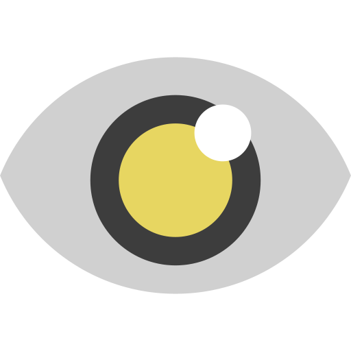 Eye Icon