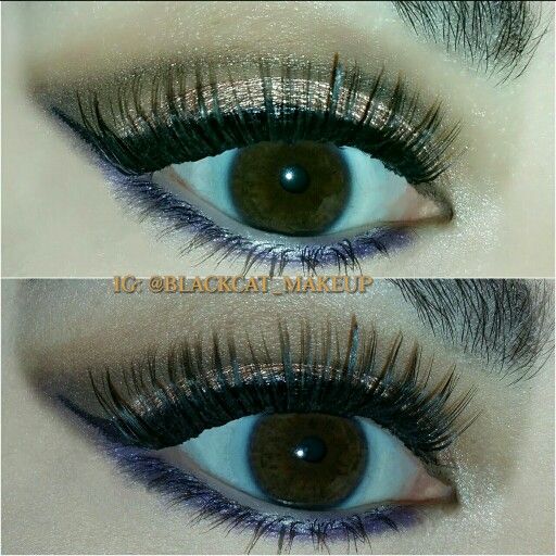 I Used The Too Faced Chocolate Bar Palette Wet N Wild Color Icon