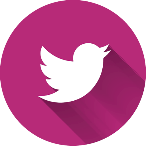 Pink Twitter Logo Transparent Png Clipart Free Download