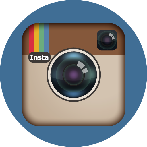 Instagram Icon Basic Round Social Iconset S Icons