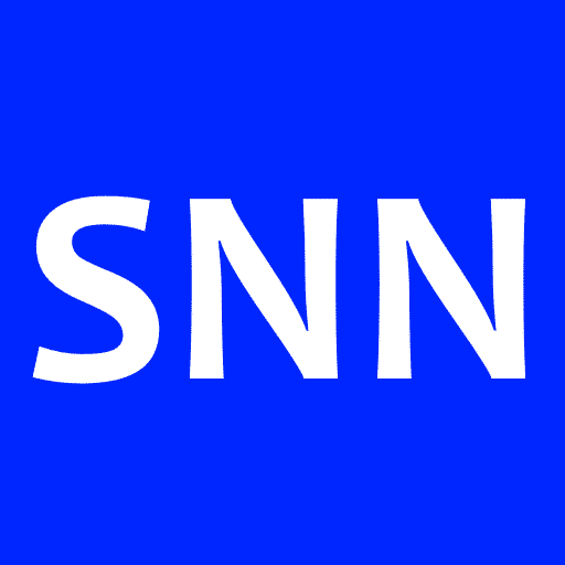 Southend News Network Punished