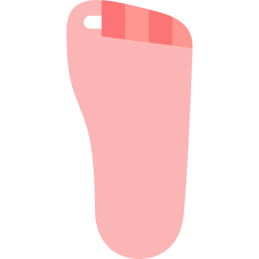 Feet Icon