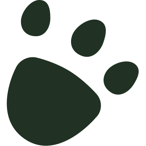 Feet Icons, Download Free Png And Vector Icons, Unlimited Free