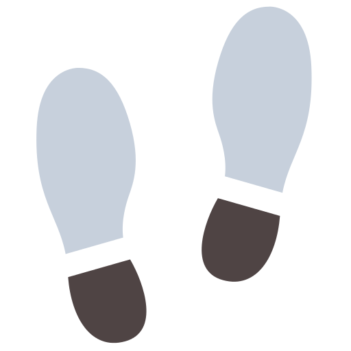 Footprints Icon