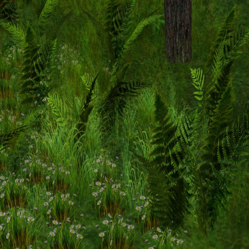 Second Life Marketplace