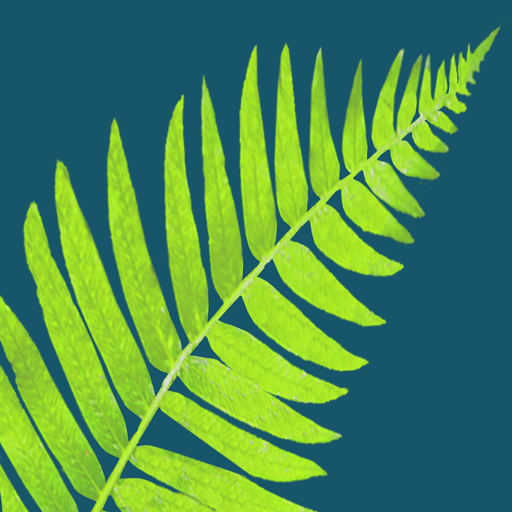 Websites Fern Creek Associates