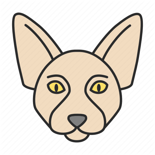Animal, Canadian, Cat, Kitten, Pet, Sphinx, Sphynx Icon