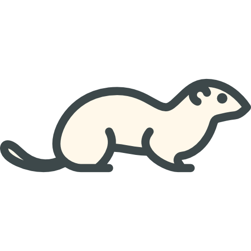 Ermine