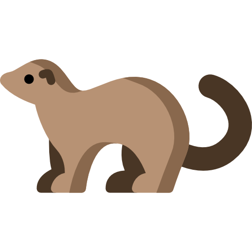 Ferret