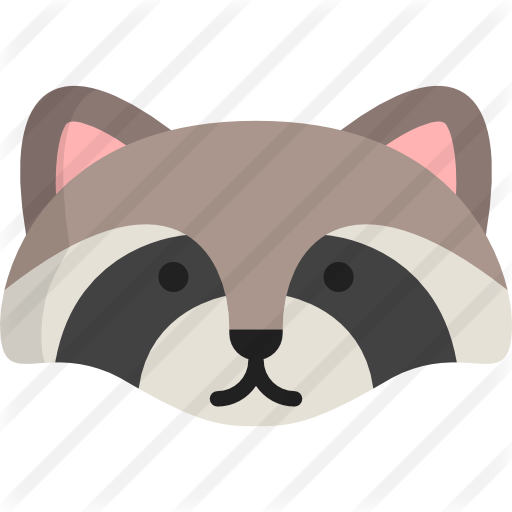 Raccoon