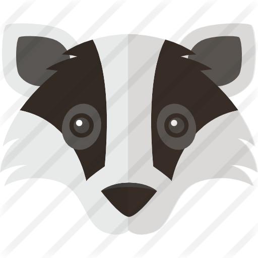 Racoon