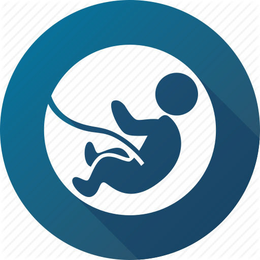 Baby, Embryo, Fetus, Newborn, Pregnancy Icon