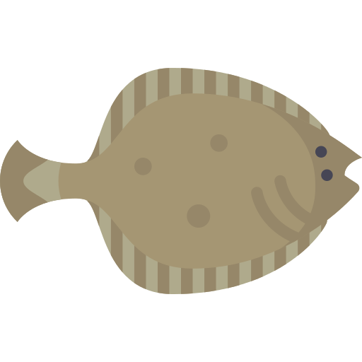 Flounder Fish Png Icon