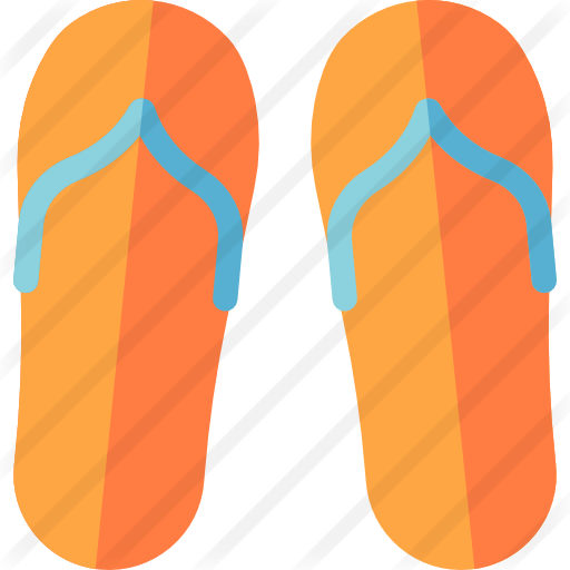 Flip Flop