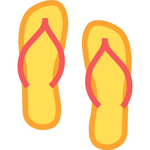 Flip Flop Icon
