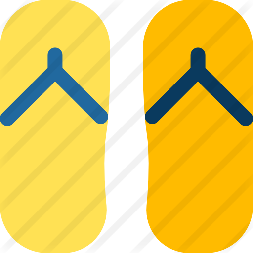 Flip Flops