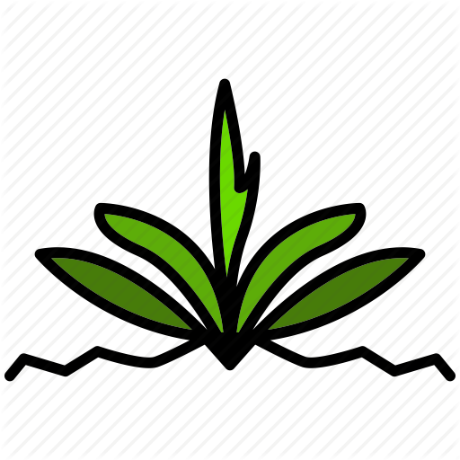 Flourish, Grass, Plant, Put, Spring, Sunshine, Weather Icon