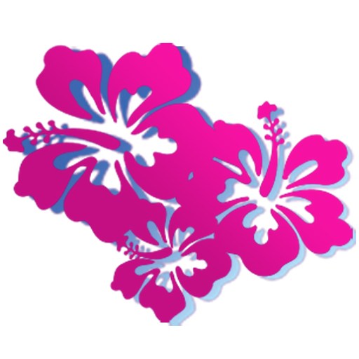 Hibiscus Flowers Icon